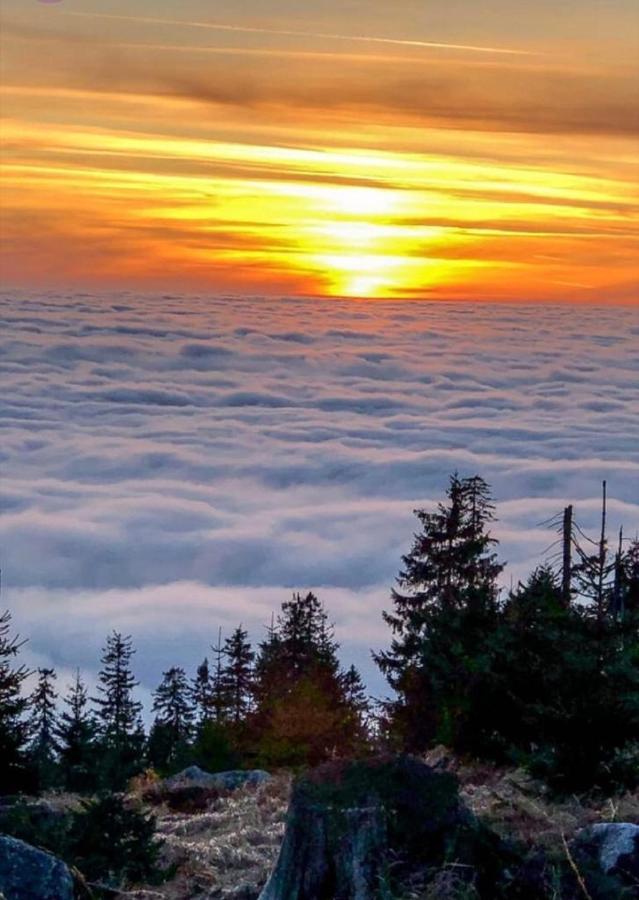 Ferienhaus Bayerwald Ringelai Dış mekan fotoğraf