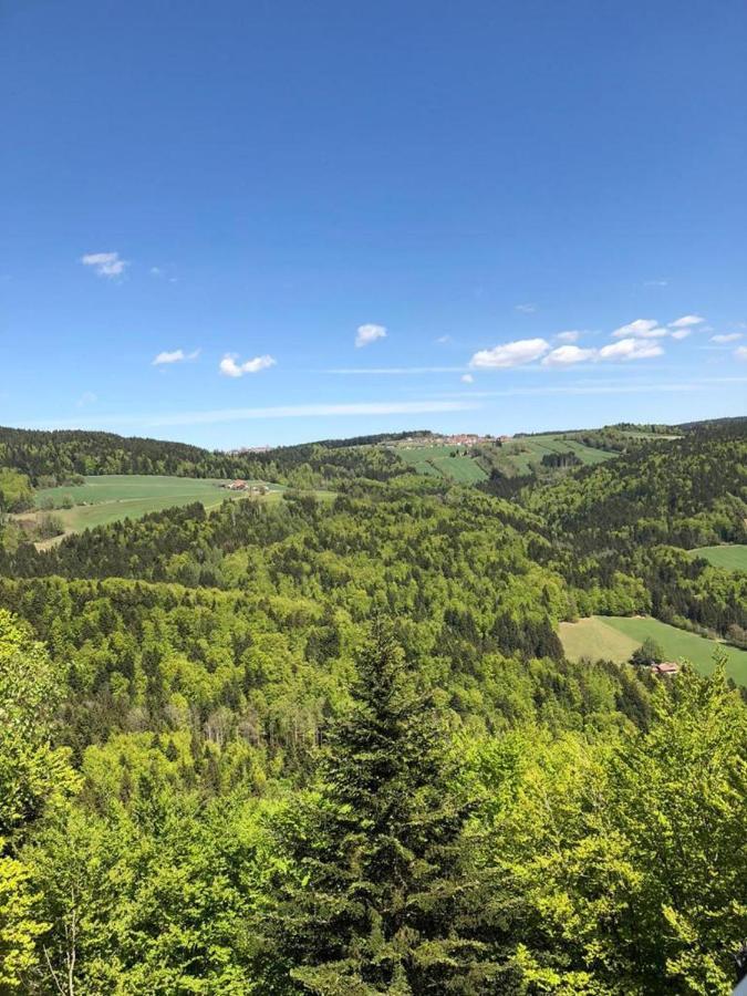 Ferienhaus Bayerwald Ringelai Dış mekan fotoğraf