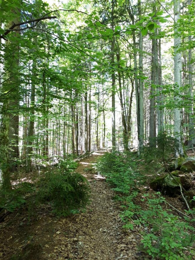 Ferienhaus Bayerwald Ringelai Dış mekan fotoğraf